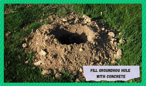 How To Fill Small Holes In Yard at Rita Skelley blog