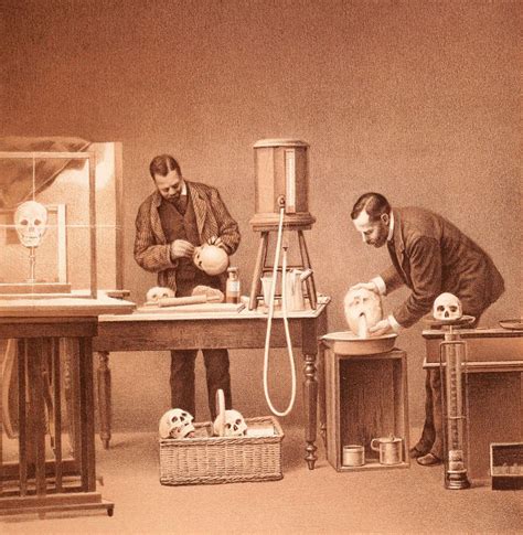 Race 的图像结果