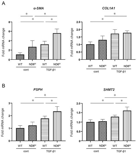 Mitochondria-Dependent Metabolic Reprogramming Enhances Myofibroblast ...