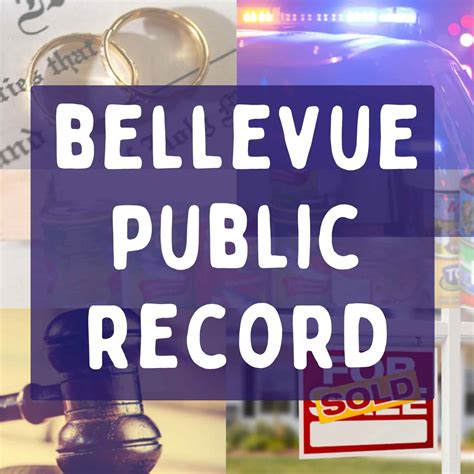 2025 High School Spring Varsity Sports Preview: Bellevue West ...