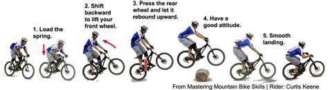 MTB Bunny Hop Tutorial 的图像结果
