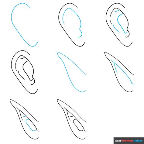 How To Draw Human Ear Step By Step - Free Worksheets Printable