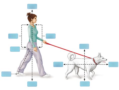 Image result for Labelling Labeling