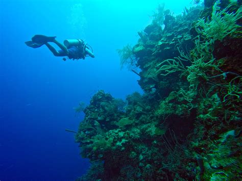 Belize The Hype! - DeeperBlue.com