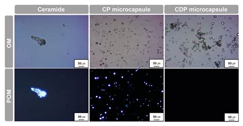 Highly Sustainable and Completely Amorphous Hierarchical Ceramide ...