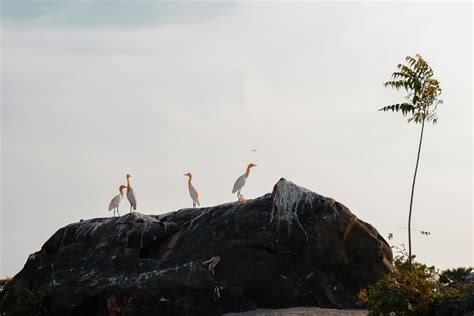 Seaside 的图像结果