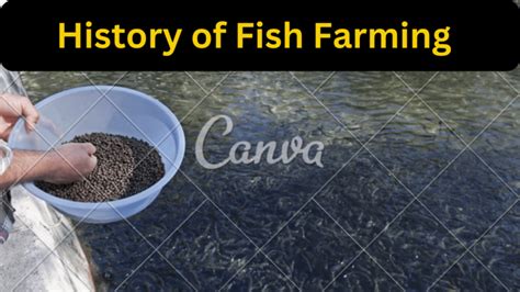 How to Start Fish Farming 的图像结果