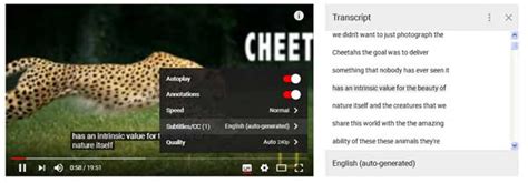 طريقة تحويل الفيديوهات الى كتابة من اليوتيوب مباشرة - مدونة الشهادة