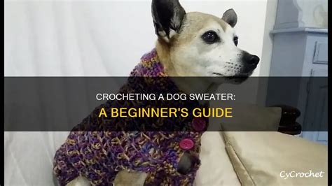 Image result for Dog Sweater Crochet Tutorial