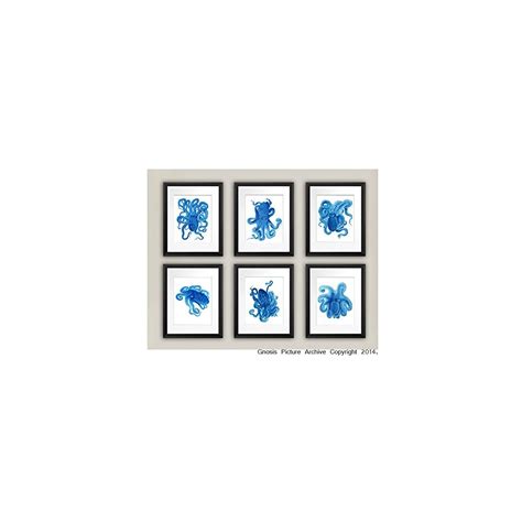 Blue White Coastal Art Octopus Set of 6 Unframed | Ubuy India