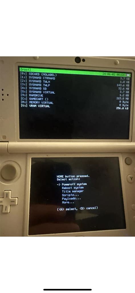 Image result for 3DS Homebrew Guide