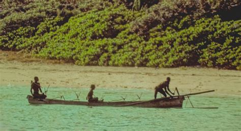 Pre-Neolithic Sentinelese tribe in Andaman and Nicobar back in focus