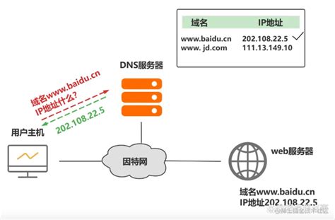 DNS解析过程-CSDN博客