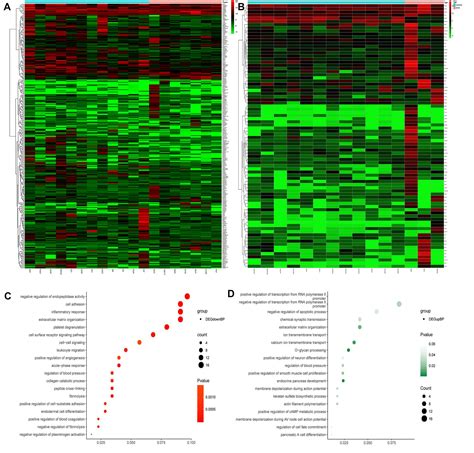 Image result for GraphPad Heatmap