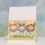 Image result for Baby Teacup Bunnies