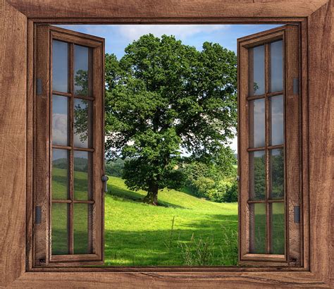 Royalty-Free photo: Closeup photography of brown wooden open window front of green leaf tree ...