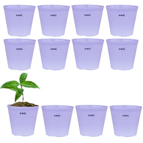 KWEL N Pot for Home Garden | Planters for Outdoor Balcony and Nursery ...