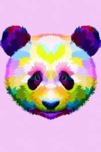 Panda Poster for Room Wall Decoration, Size - 12 X 18 inches || VE EB ...