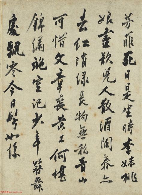 沈周字画《落花图并诗卷》 - 第3页 传世字画书法欣赏