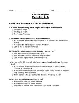 Image result for Exploding Ant Video in Reading Street Book