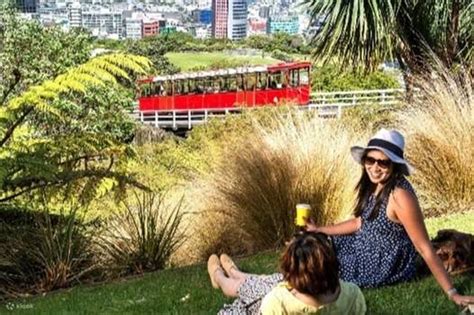 Mandarin Wellington Highlights Tour - Klook India