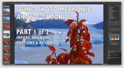 Image result for Photo Mechanic Tutorial