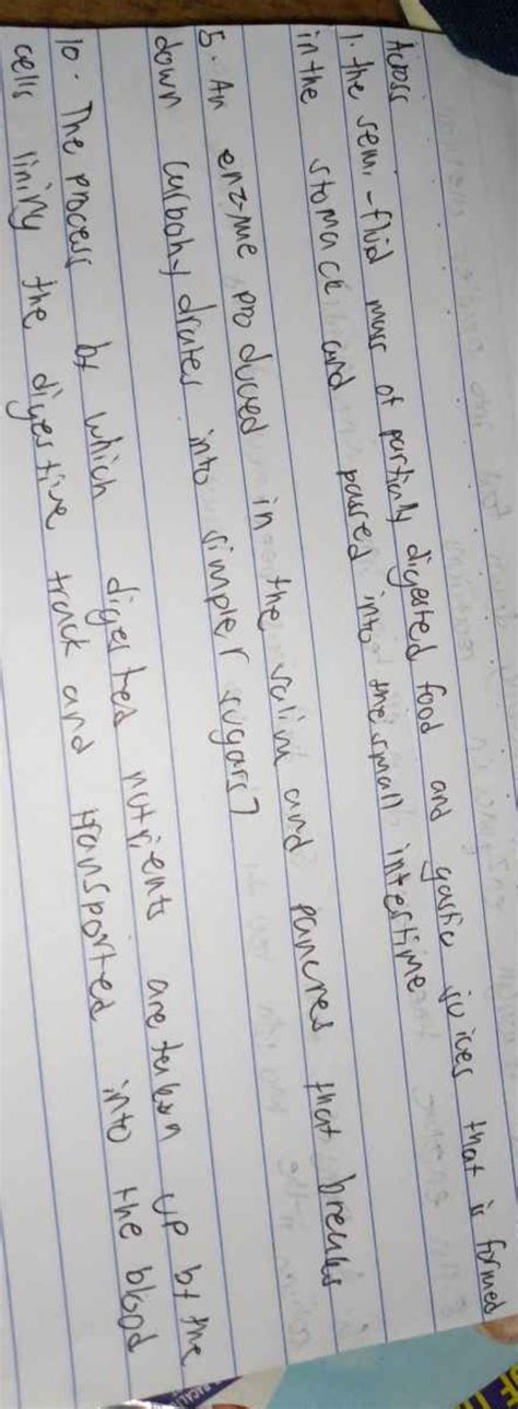 Image result for Partially Digested Food