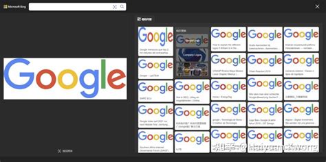 必 应 搜图 的图像结果