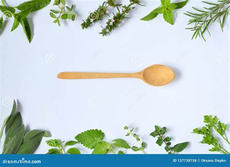 Fresh Spicy and Medicinal Herbs on White Background and Wooden Spoon ...