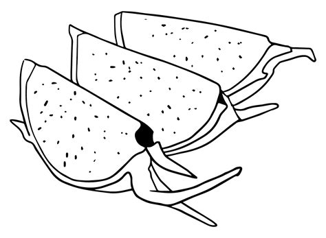 20+ Dragon Fruit Coloring Pages - Free Printable PDF & Online Coloring