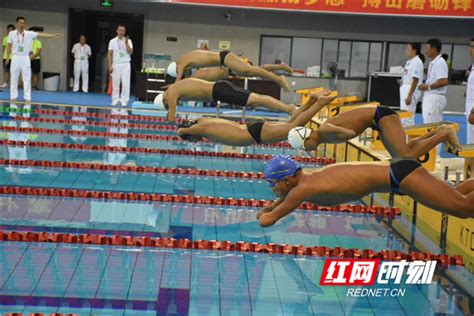 省残运会衡阳游泳队：比30块金牌更沉甸甸的是他们的故事_训练