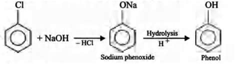Chlorobenzene on fusing with solid NaOH gives - Tardigrade