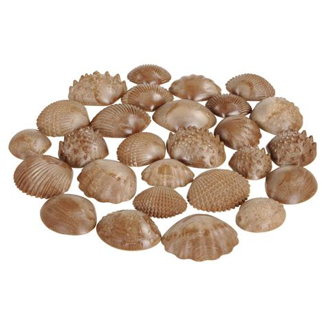 Buy edxeducation Tactile Shells - Eco-Friendly - 36 Pieces, 6 Textures ...