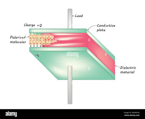 Image result for Parallel Capacitor