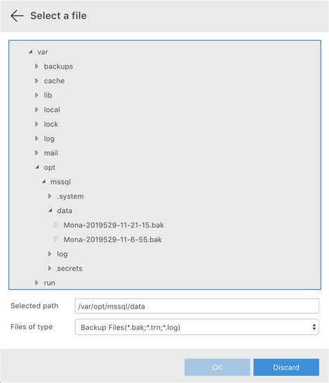 Image result for SQL Root Folder