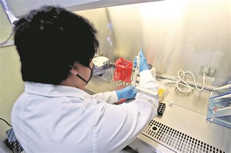 De salmonela a fiebre tifoidea: los peligros de esta bacteria, síntomas ...
