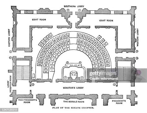 Senators Drawing 的图像结果
