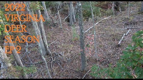 2022 VIRGINIA DEER SEASON-EP 2-TWO HUNTS FROM WEEK 3 OF VIRGINIA BOW ...
