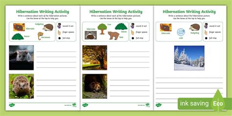 Hibernation Early Writing Activities