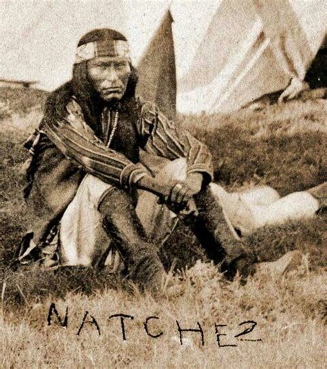 Native American Natchez Tribe: Sun Worship and Ancient Rituals