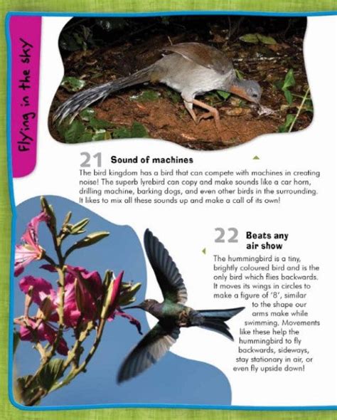 101 Facts: Amazing Creatures – Books and You