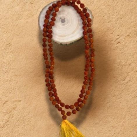 Rudraksha: Which Rudraksha to Wear? Complete Spiritual Guide – Dharmik