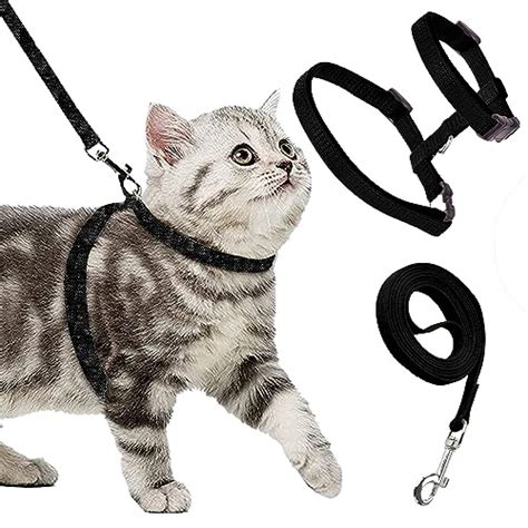 Amazon.in Bestsellers: The most popular items in Cat Harnesses
