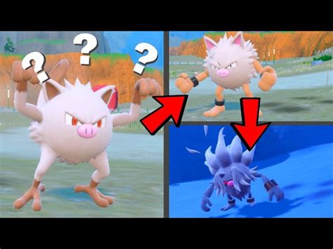 Pokemon Mankey Evolution Chart 的图像结果