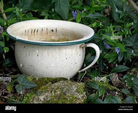 Image result for Using Old Chamber Pot