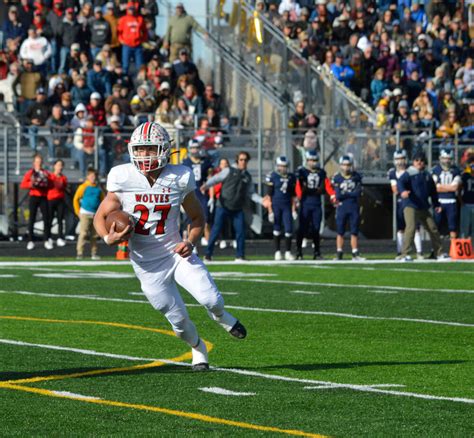 Image result for Wolves Forwards