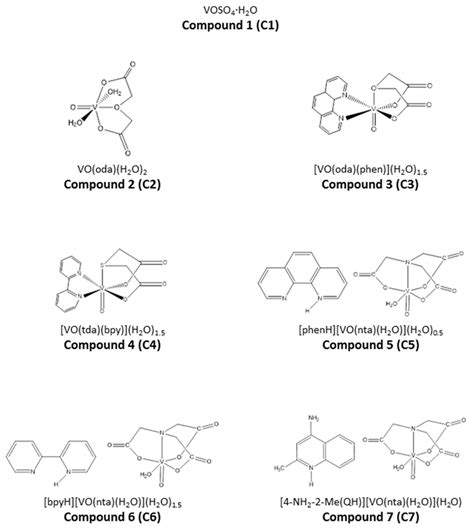 Image result for Memory Encoding and Processing