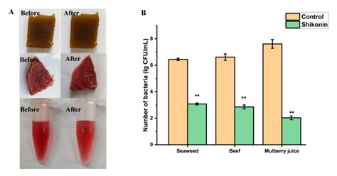 Control of Foodborne Staphylococcus aureus by Shikonin, a Natural Extract