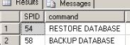 SQL Error Backup File Manipulation Operations Must Be Serialized 的图像结果
