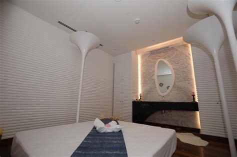 Image result for Doha VIP Ariya